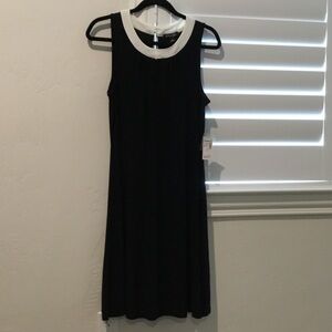 Roz & Ali Black Midi Dress with White Contrast Collar